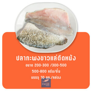 ปลากะพงขาว แล่ติดหนัง Premium