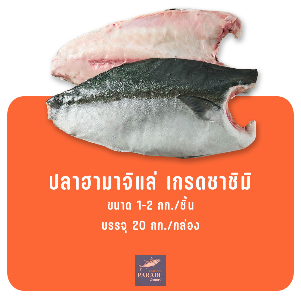 ปลาฮามาจิแล่ เกรดซาชิมิ เนื้อสด มันลายสวย เหมาะสำหรับทานดิบ