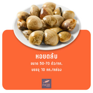 หอยตลับ สด แช่แข็ง เนื้อแน่น สำหรับผัดฉ่า ต้มยำ และเมนูซีฟู้ด
