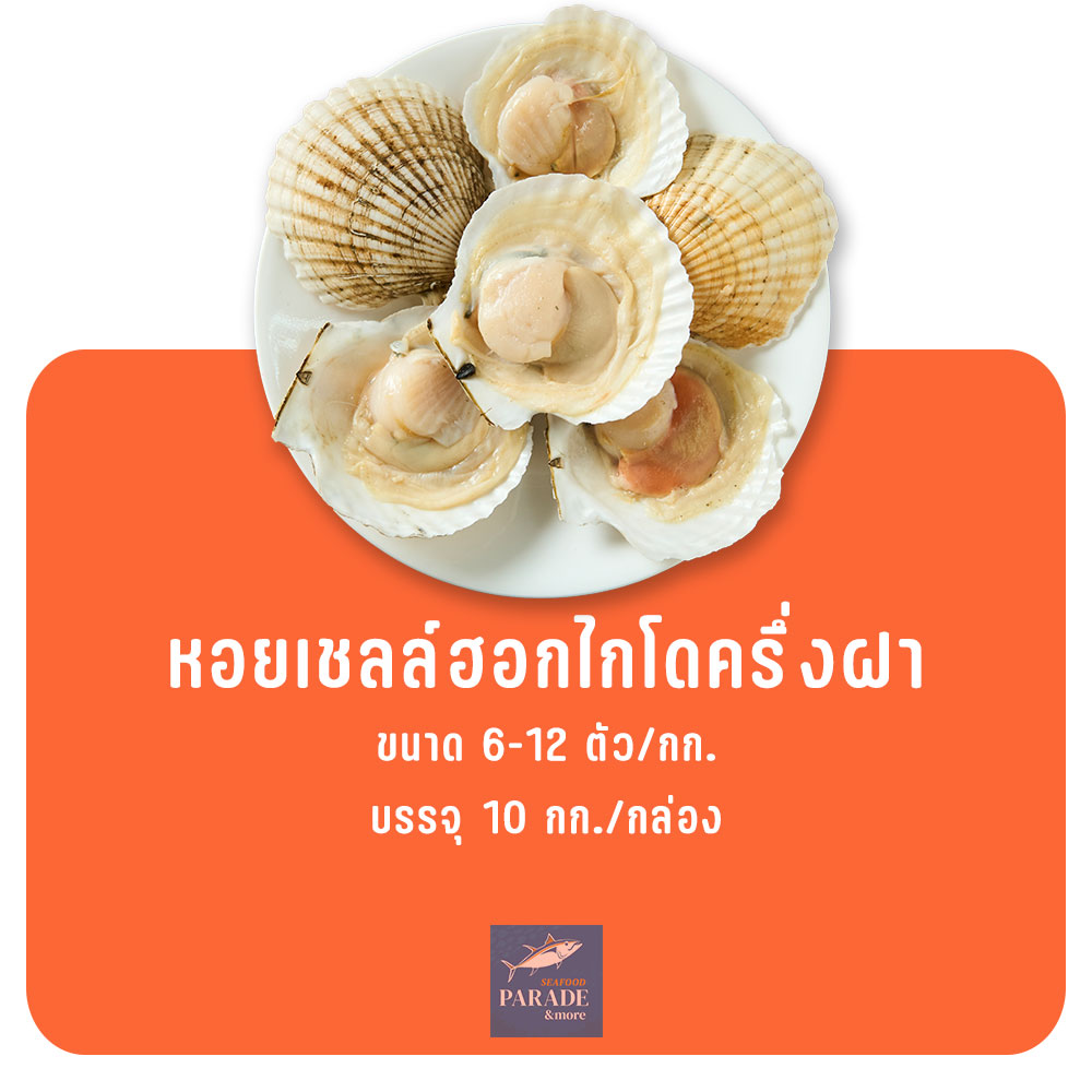 หอยเชลล์ฮอกไกโดครึ่งฝา สดใหม่ พร้อมปรุง นำเข้าจากญี่ปุ่น