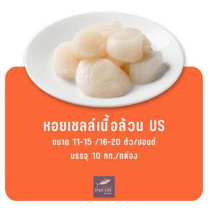 "หอยเชลล์เนื้อล้วน US สด แช่แข็ง คุณภาพดีนำเข้า"
