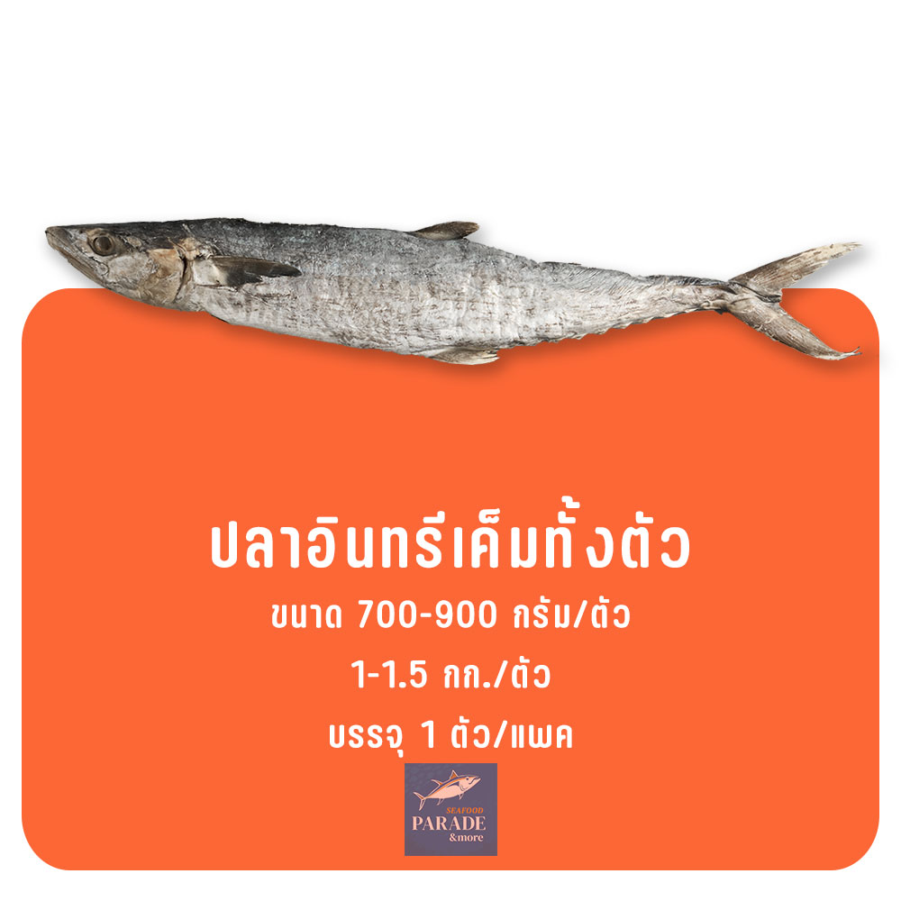 อินทรีเค็ม ปลาชิ้นใหญ่ เนื้อแน่น เค็มพอดี แช่แข็งอย่างดี
