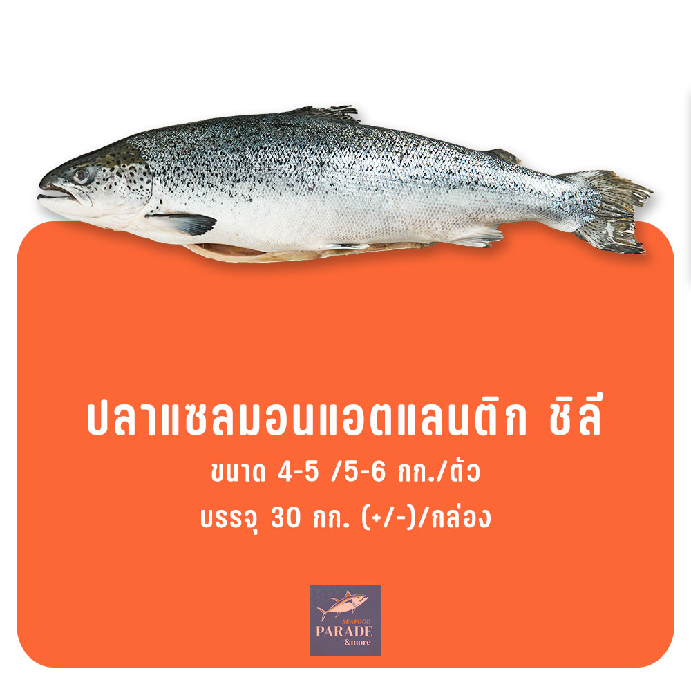 ปลาแซลมอนแอตแลนติก ชิลี ทั้งตัว