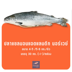 ปลาแซลมอนแอตแลนติก นอร์เวย์ ทั้งตัว