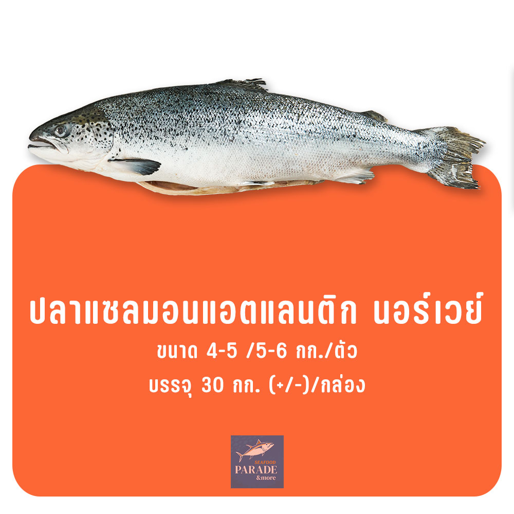 ปลาแซลมอนแอตแลนติก นอร์เวย์ ทั้งตัว