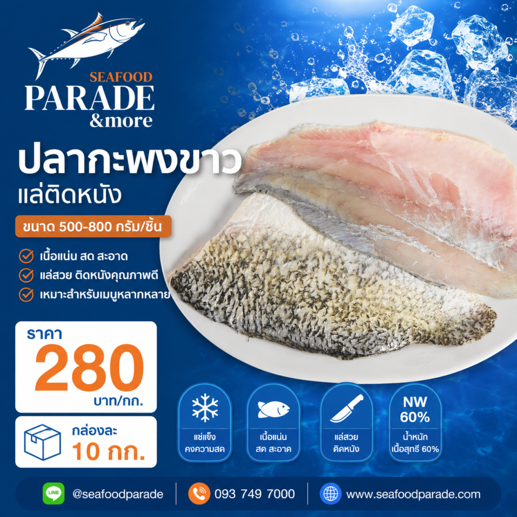 ปลากะพงขาวแล่ติดหนังแช่แข็ง ขนาด 500–800 กรัมต่อชิ้น Seafood Parade เนื้อแน่น สด สะอาด NW 60%